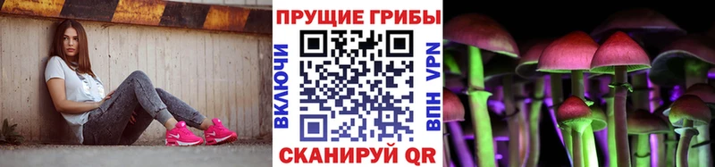 закладка  Полевской  Псилоцибиновые грибы ЛСД 